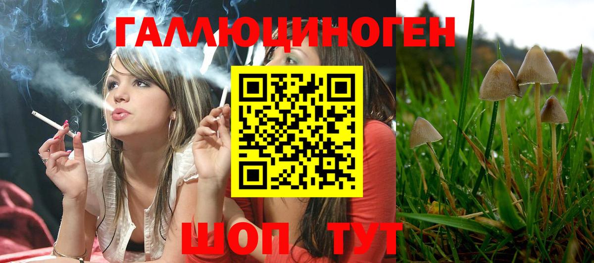сколько стоит  Вход с VPN  Нововоронеж  Псилоцибиновые грибы GOLDEN TEACHER 