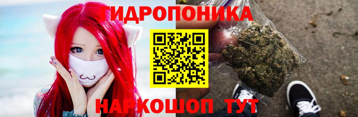 Нововоронеж  Шишки марихуана White Widow  Каннабис OG Kush  Конопля Ganja  Вход с VPN 
